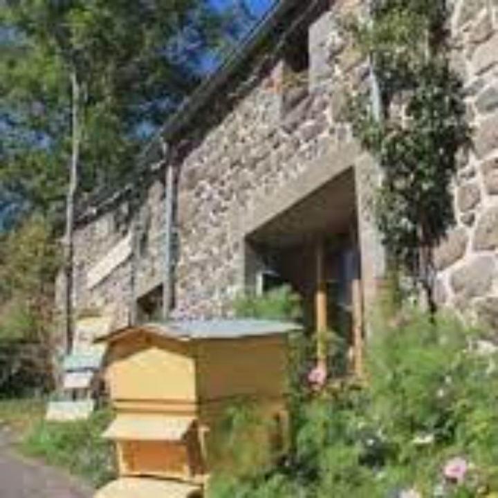 Location de mobil-homes Saint-Bonnet-près-Orcival